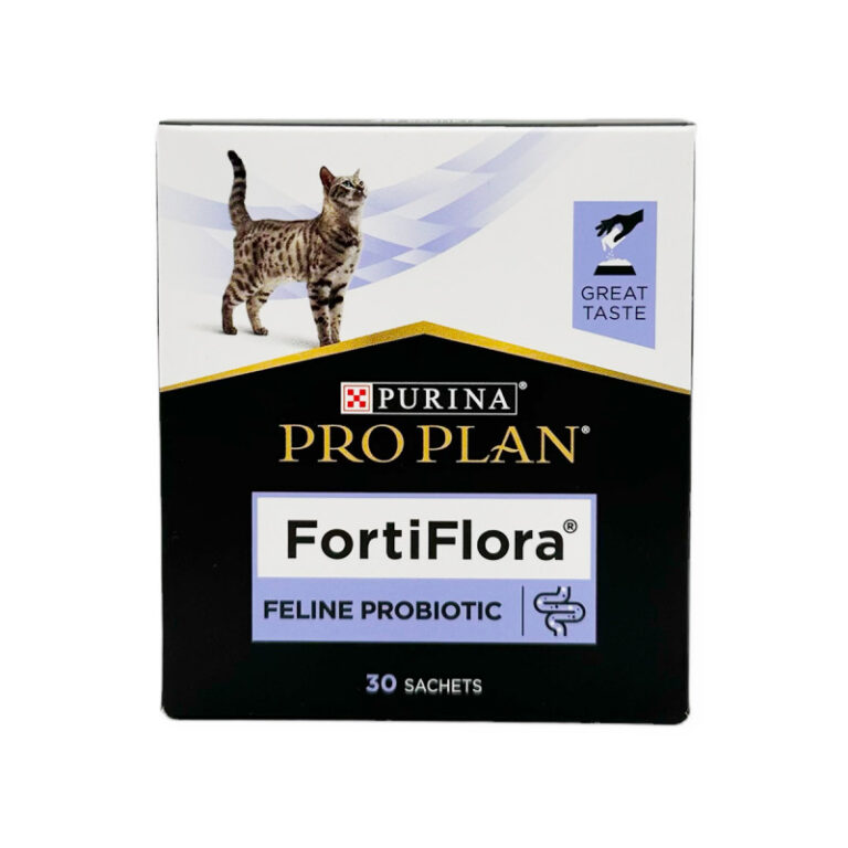 Feline en purina