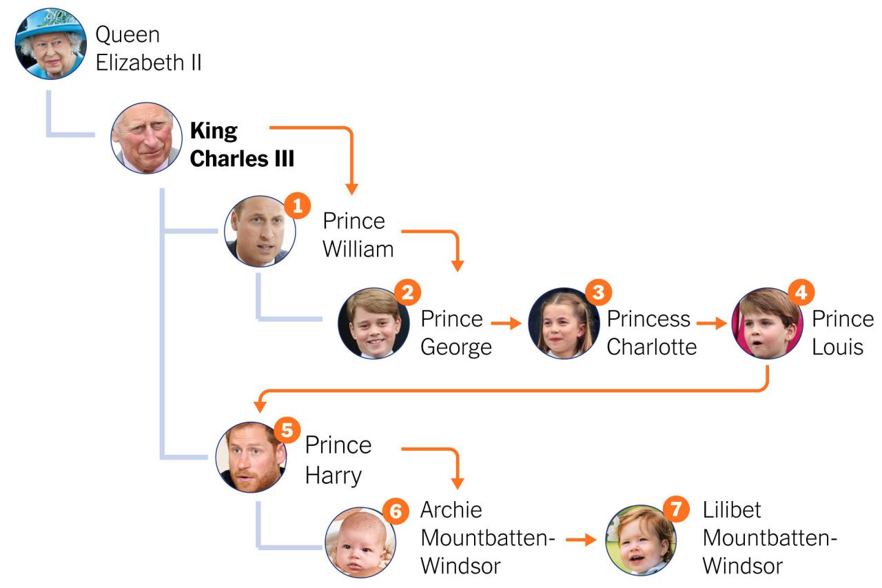 Royal canin boxer puppy