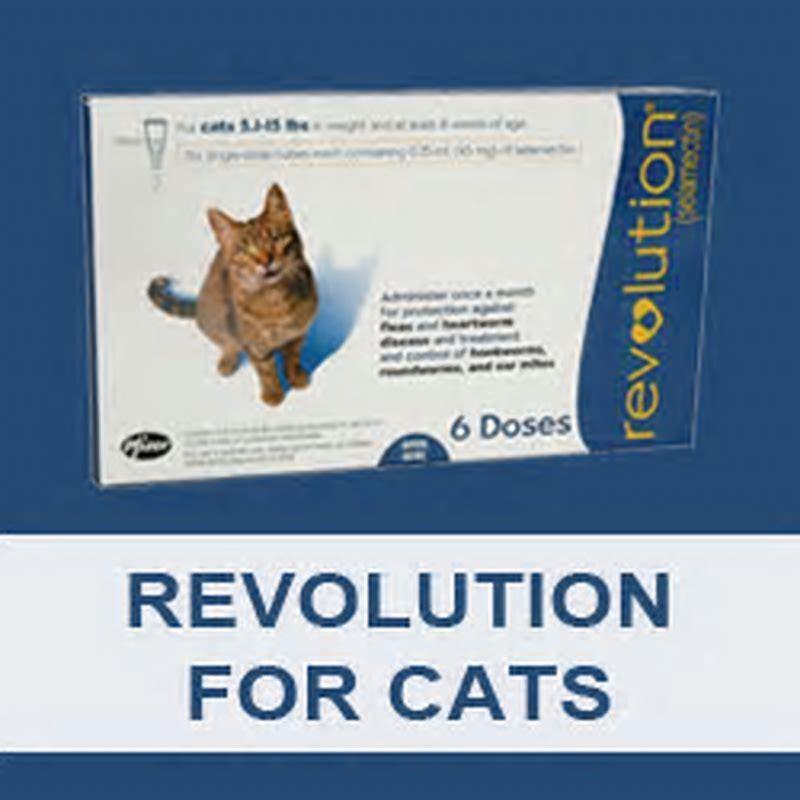 Revolution cat plus